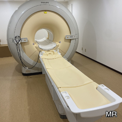 MR（DWIBS）の画像